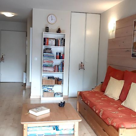 Le 102, T3 Pour 5 Personnes, Vue Montagne, Classe 2 Etoiles Nf, Parking, Piscine En Ete Bagnères-de-Luchon Eksteriør bilde
