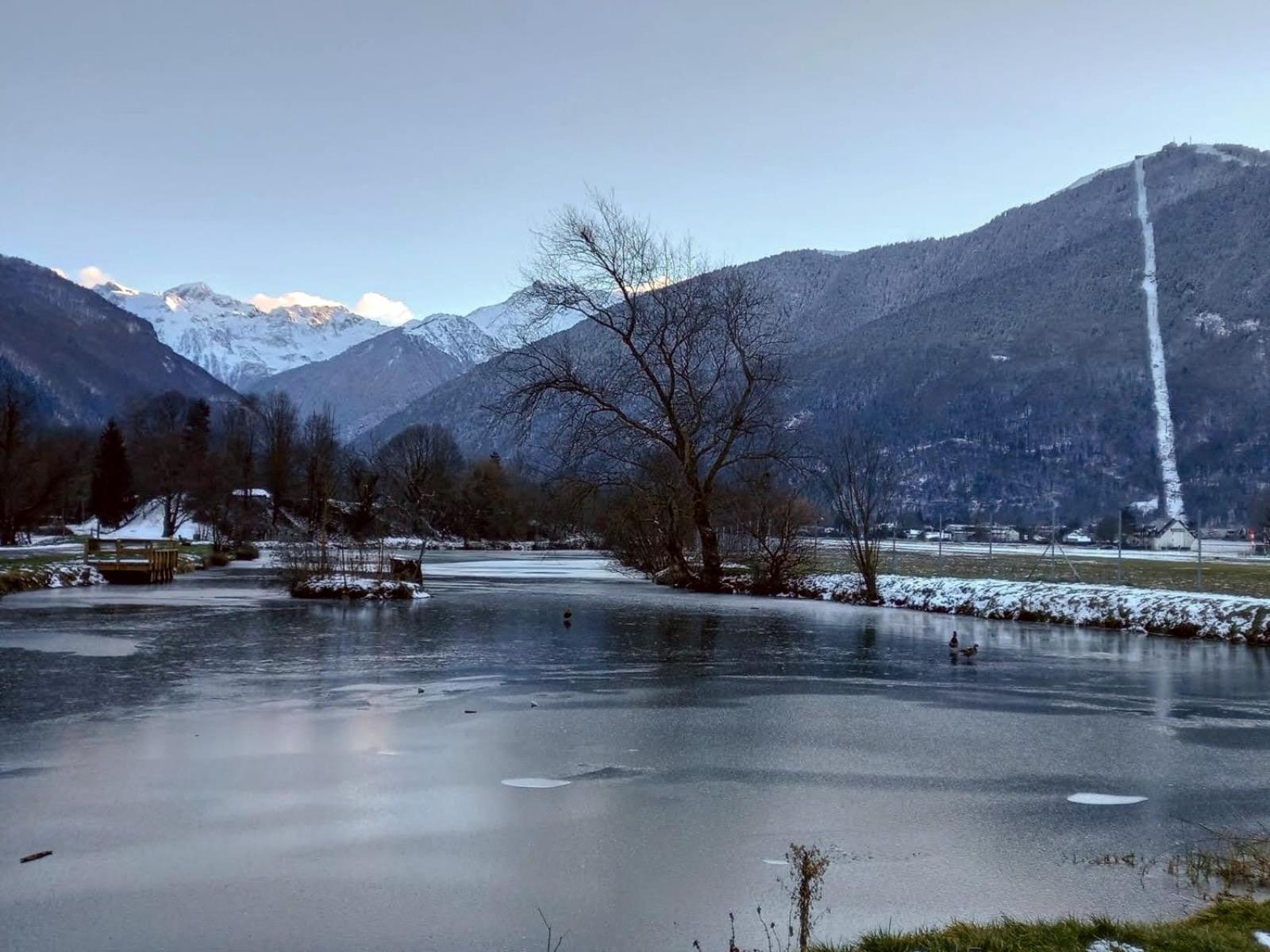 Le 102, T3 Pour 5 Personnes, Vue Montagne, Classe 2 Etoiles Nf, Parking, Piscine En Ete Bagnères-de-Luchon Eksteriør bilde